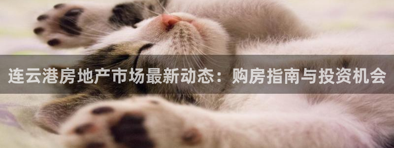 j9九游国际真人游戏第一品牌