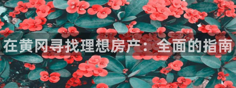 j9国际站备用网址